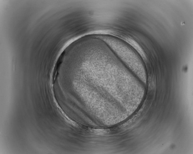 X0000098201436200805081101
