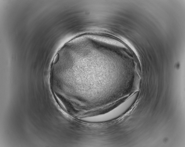 X0000098201437200805081101