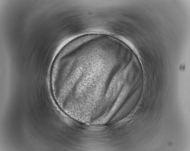 X0000098201440200805081101