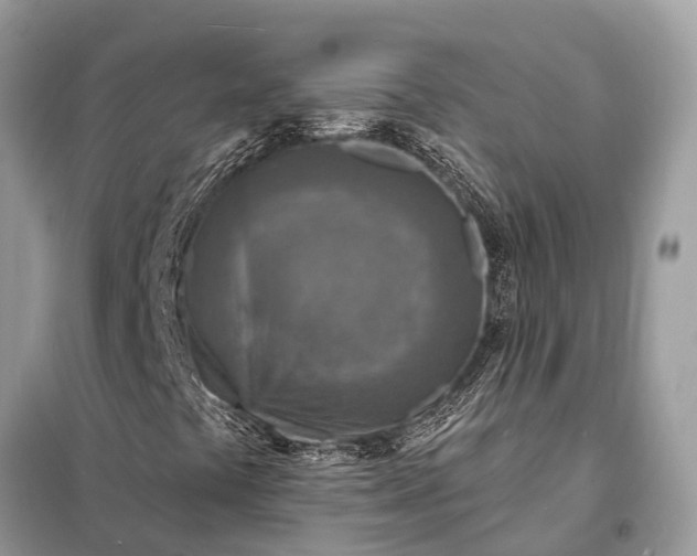X0000098201441200805081100