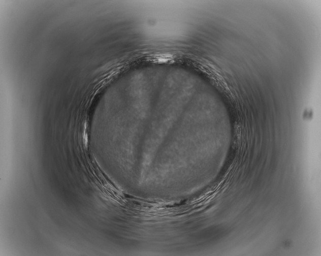 X0000098201442200805081100