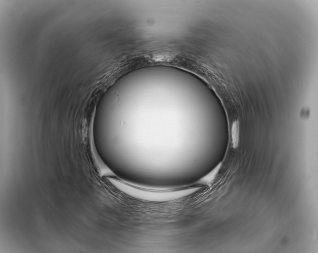 X0000098201443200805081100