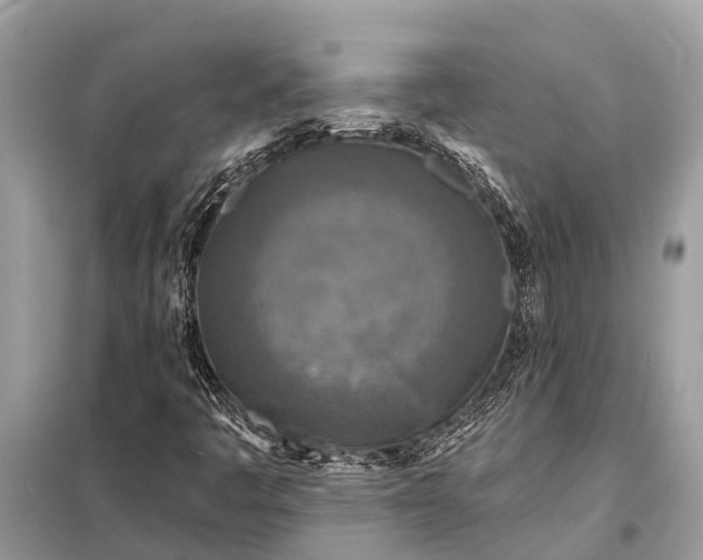 X0000098201445200805081100