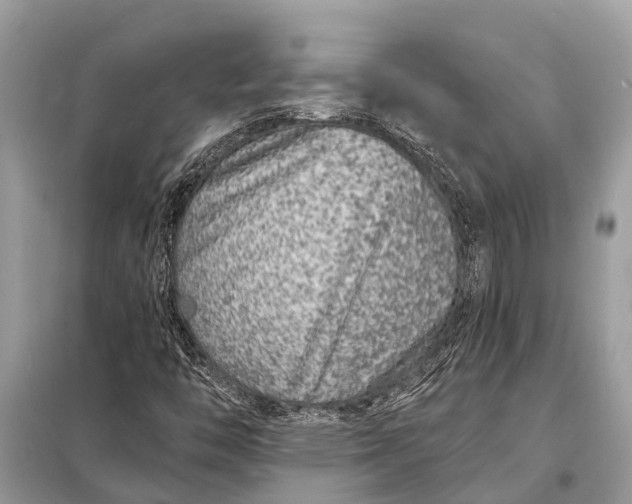 X0000098201446200805081100