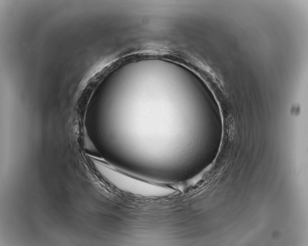 X0000098201448200805081100