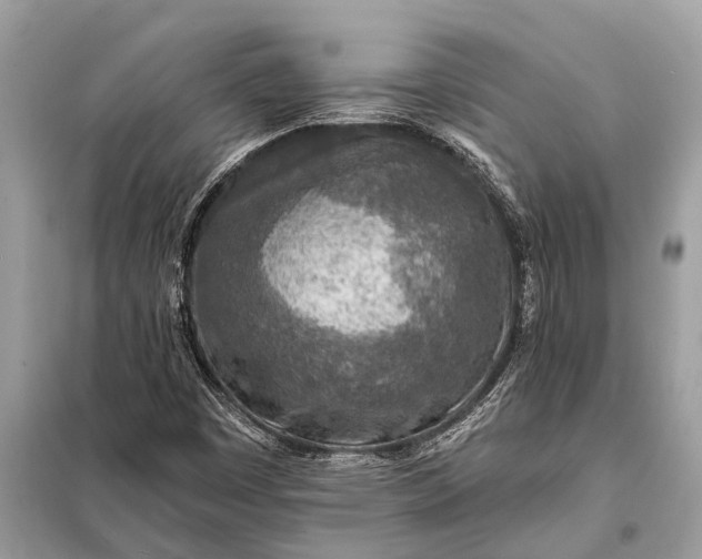 X0000098201449200805081100