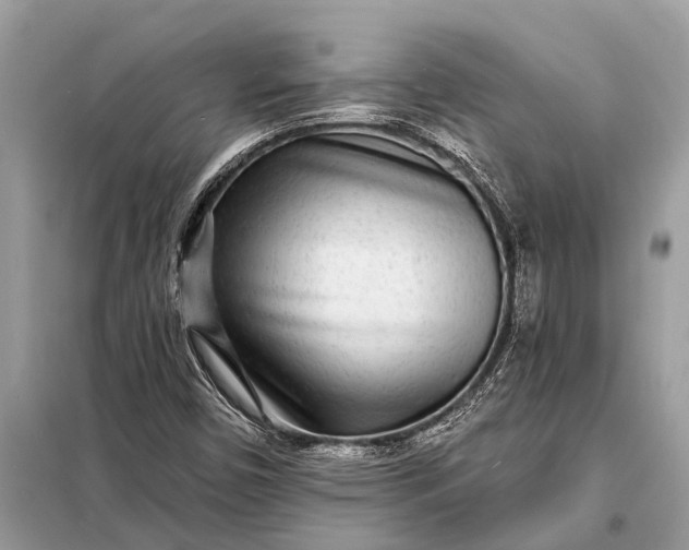 X0000098201450200805081100