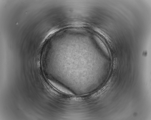 X0000098201451200805081100