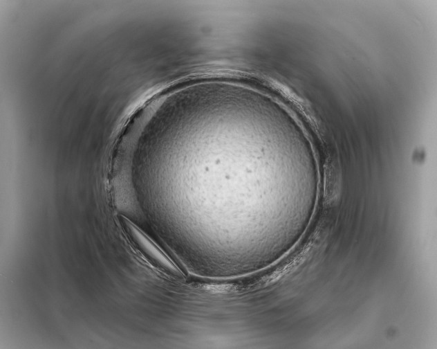 X0000098201453200805081100
