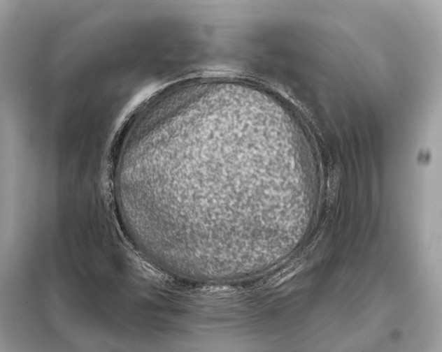 X0000098201454200805081100