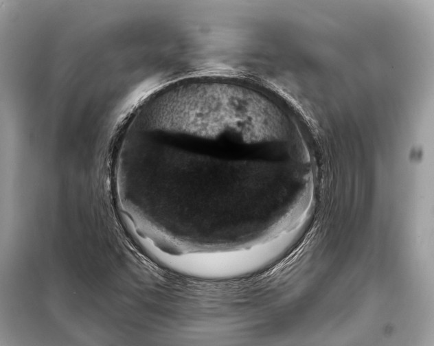 X0000098201455200805081100