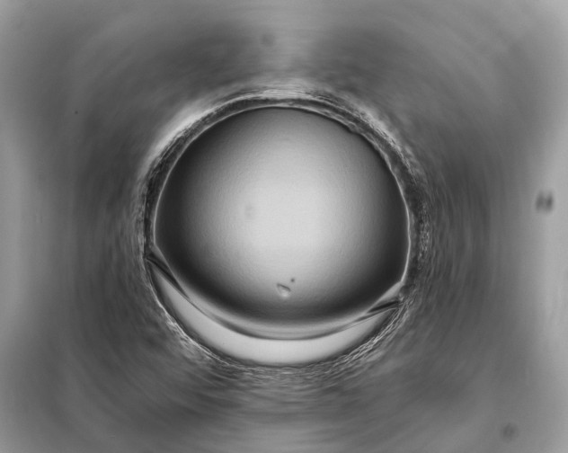 X0000098201456200805081100