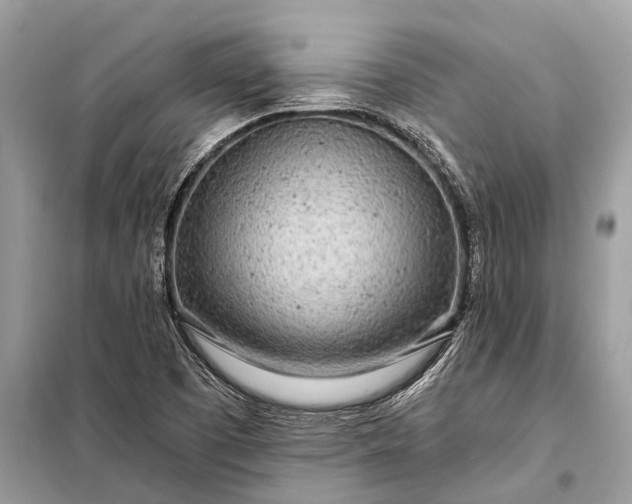 X0000098201457200805081100