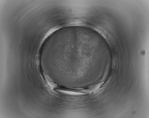 X0000098201458200805081100