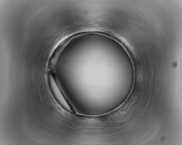 X0000098201460200805081100