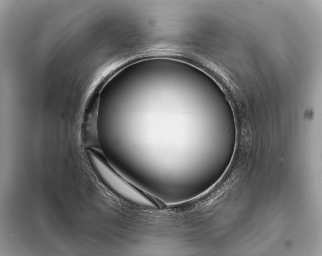 X0000098201461200805081100