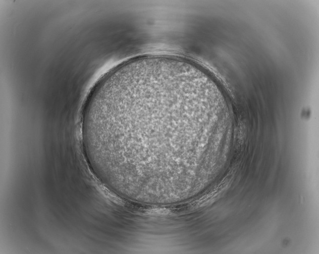 X0000098201462200805081100