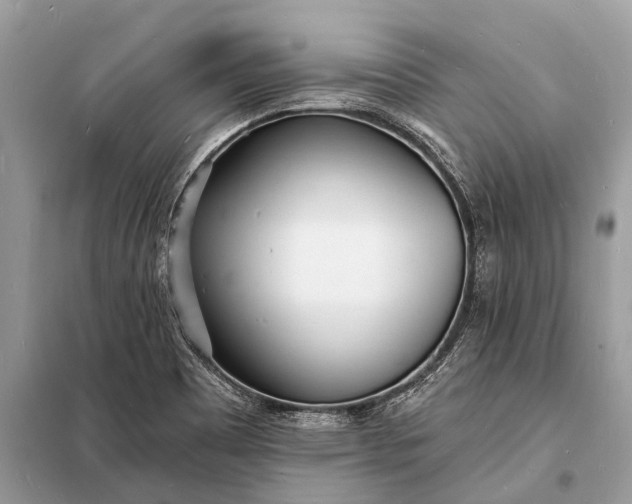 X0000098201465200805081100