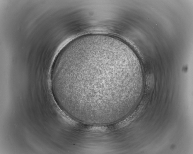 X0000098201466200805081100