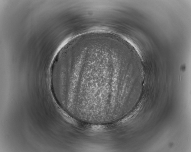 X0000098201467200805081100