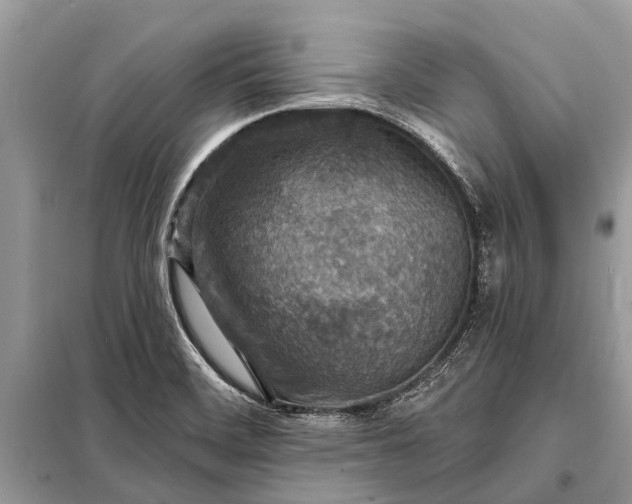 X0000098201468200805081100