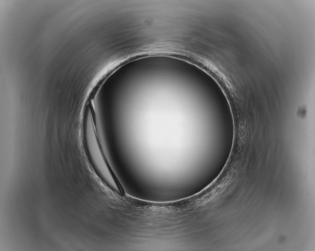 X0000098201469200805081100