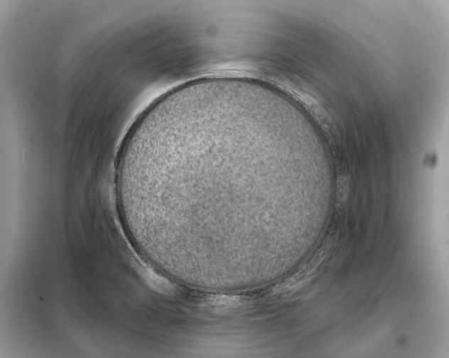 X0000098201470200805081100