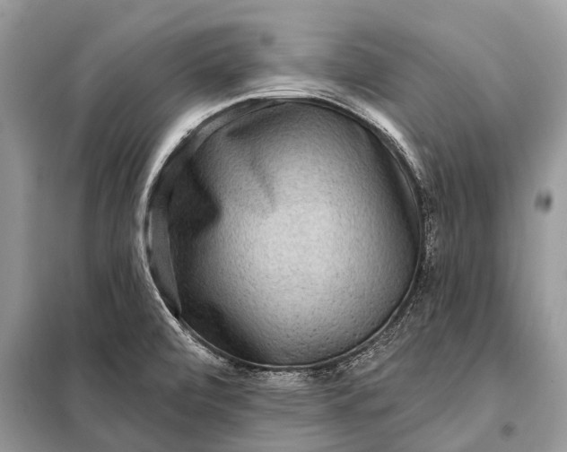 X0000098201472200805081100