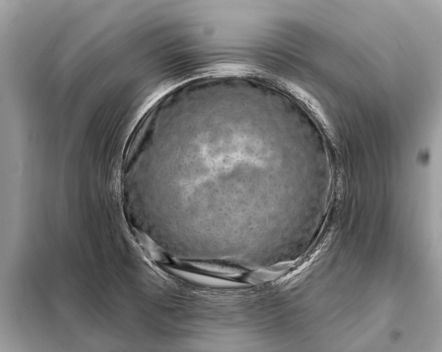 X0000098201473200805081100