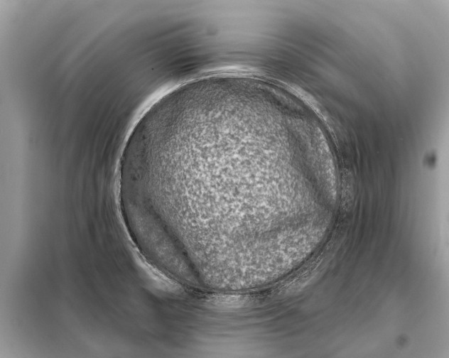 X0000098201474200805081100