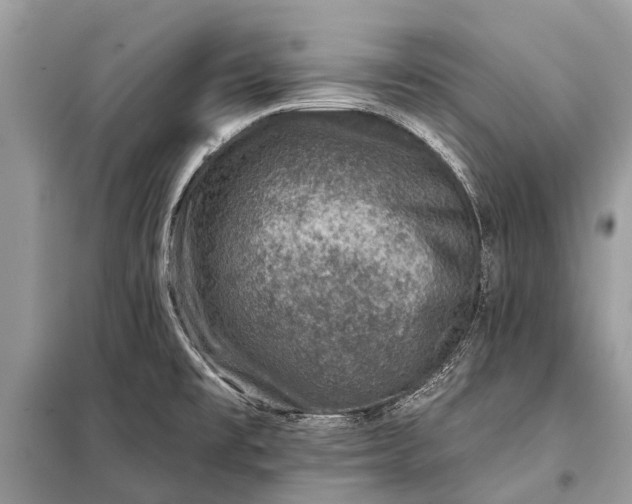 X0000098201477200805081059