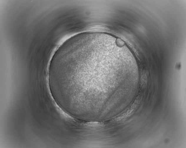X0000098201478200805081059