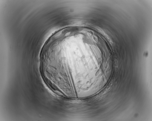 X0000098201479200805081059
