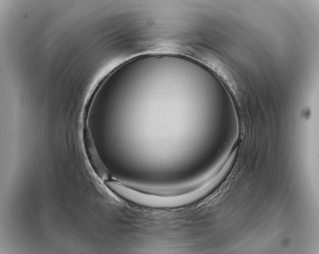 X0000098201480200805081059