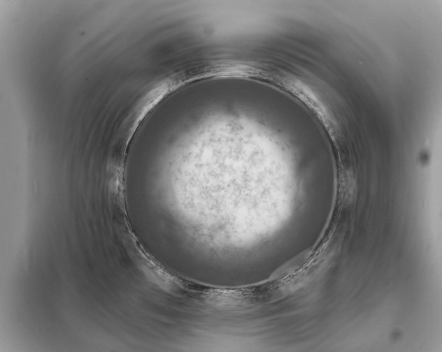 X0000098201481200805081059