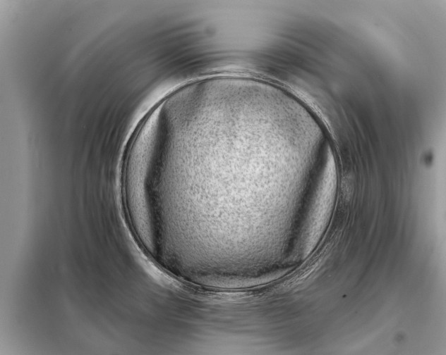 X0000098201482200805081059
