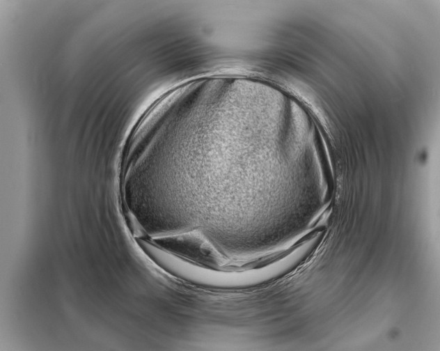 X0000098201483200805081059