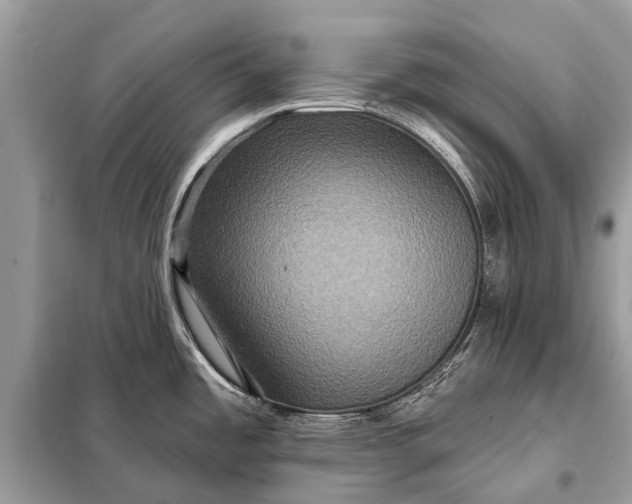 X0000098201485200805081059