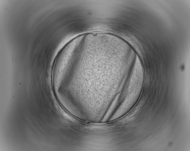 X0000098201486200805081059