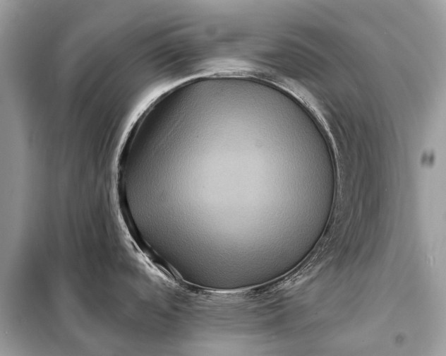 X0000098201488200805081059
