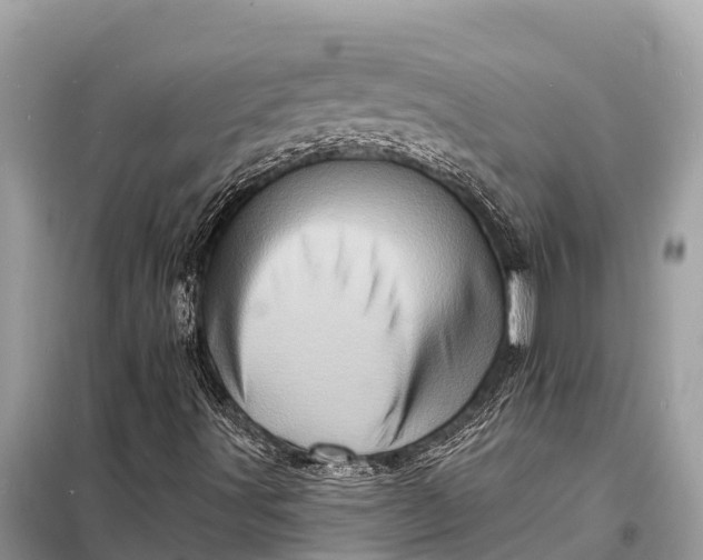X0000098201491200805081059