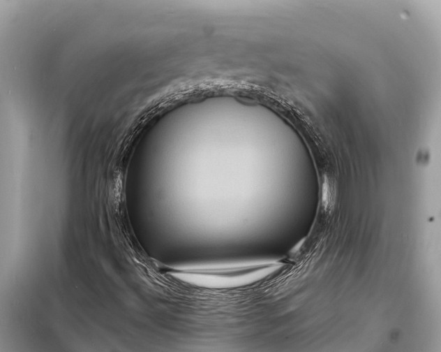 X0000098201492200805081059
