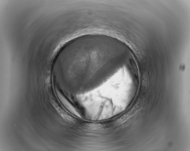 X0000098201499200805081059