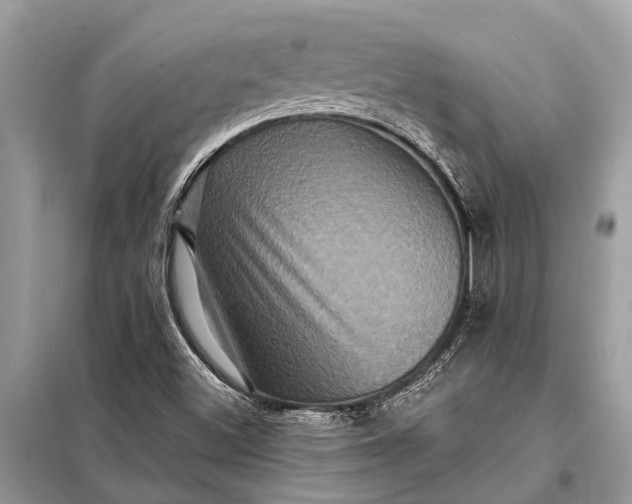 X0000098201500200805081059