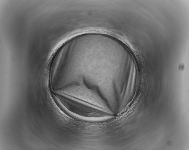 X0000098201504200805081059