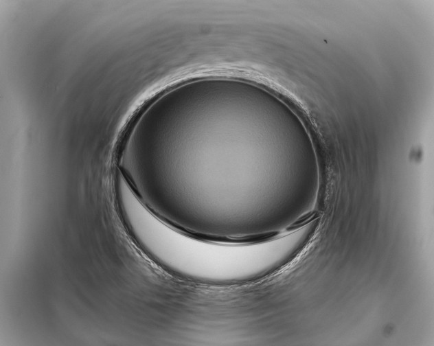 X0000098201506200805081059