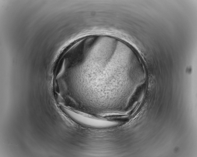 X0000098201507200805081059