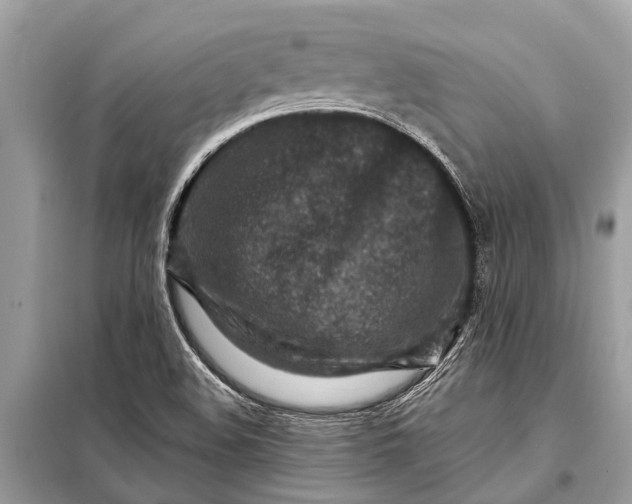X0000098201508200805081059