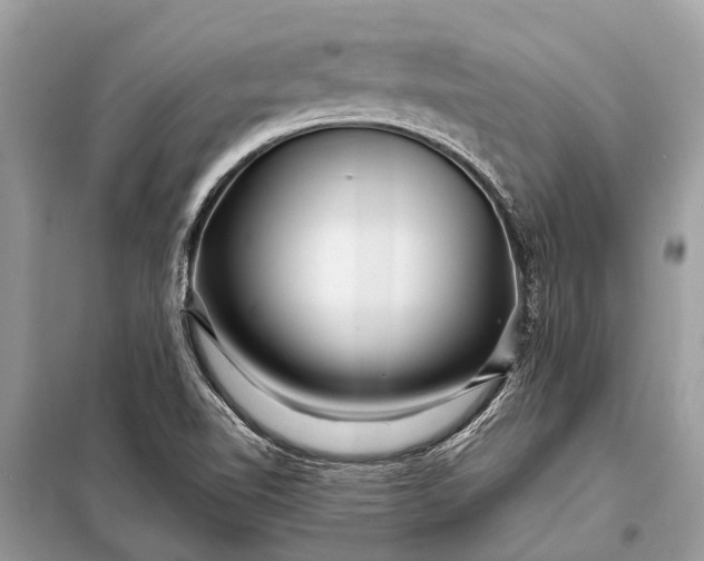 X0000098201510200805081059