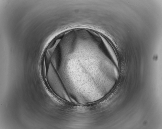 X0000098201511200805081059